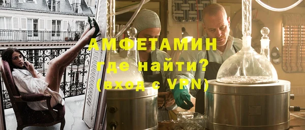 сатива Покачи