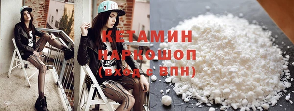 сатива Покачи