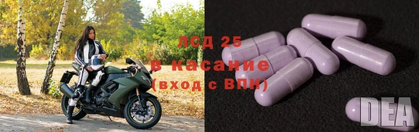 ешки Аркадак
