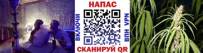 Конопля конопля  купить наркоту  Богородск 